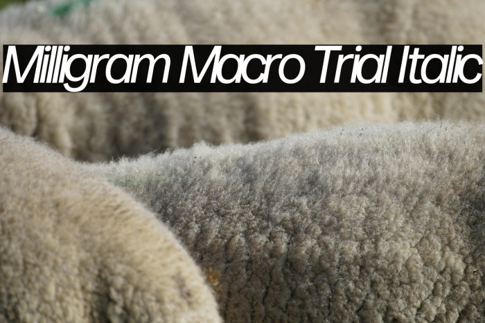 Milligram Macro Trial Italic Example 2