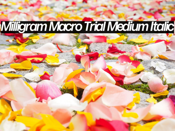 Milligram Macro Trial Medium Italic Example 1
