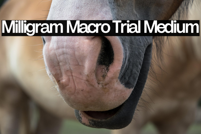 Milligram Macro Trial Medium Example 1