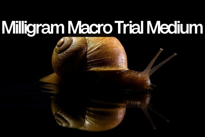 Milligram Macro Trial Medium Example 2