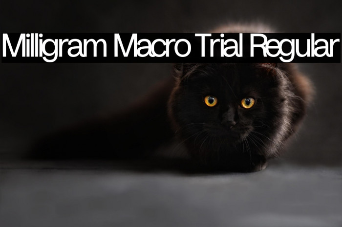 Milligram Macro Trial Regular Example 1