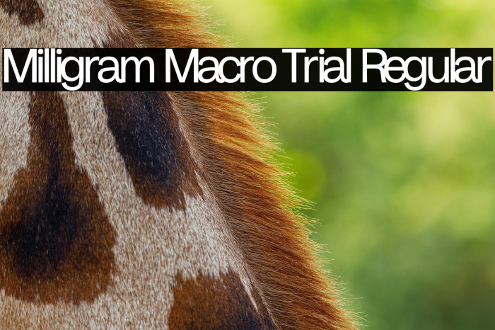 Milligram Macro Trial Regular Example 2