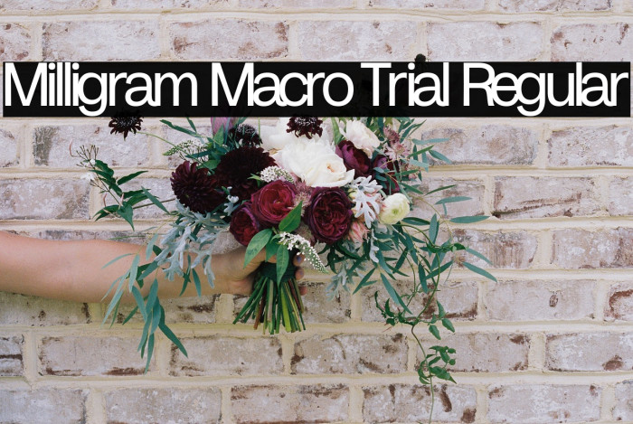 Milligram Macro Trial Regular Example 3