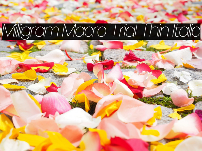 Milligram Macro Trial Thin Italic Example 3