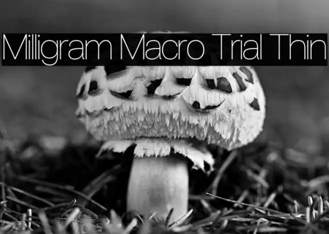 Milligram Macro Trial Thin Font examples