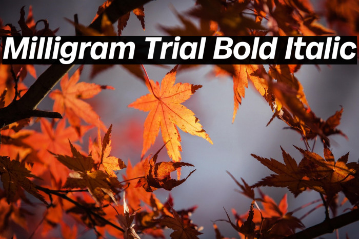 Milligram Trial Bold Italic Example 3