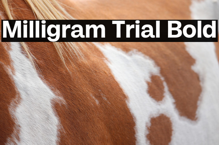 Milligram Trial Bold Example 3