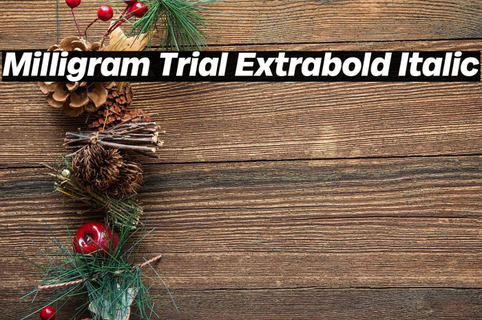 Milligram Trial Extrabold Italic Example 2