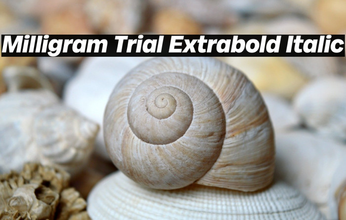 Milligram Trial Extrabold Italic Example 3
