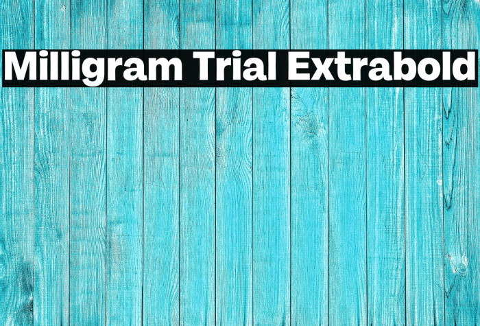 Milligram Trial Extrabold Example 3
