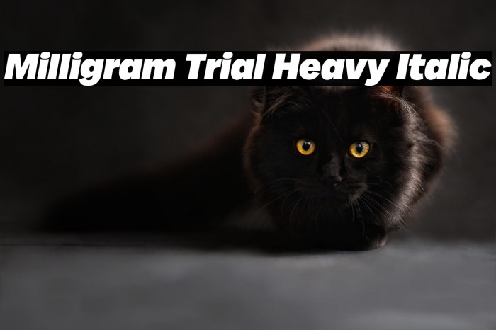 Milligram Trial Heavy Italic Example 3