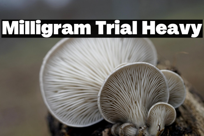 Milligram Trial Heavy Example 1