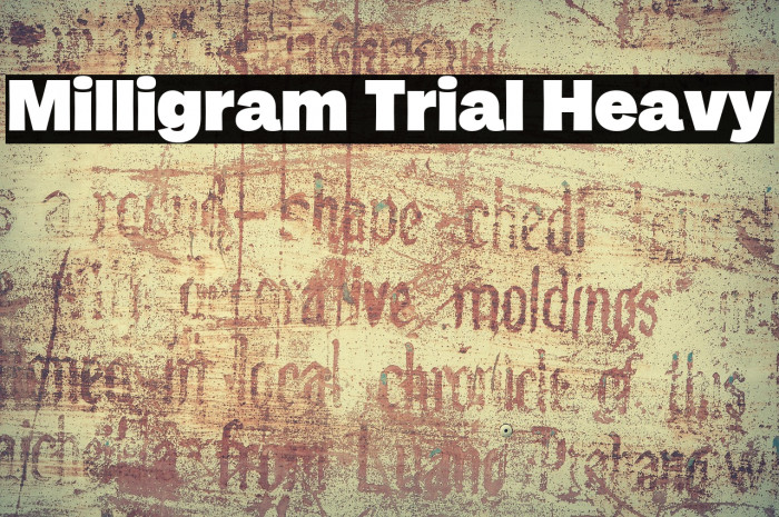 Milligram Trial Heavy Example 2