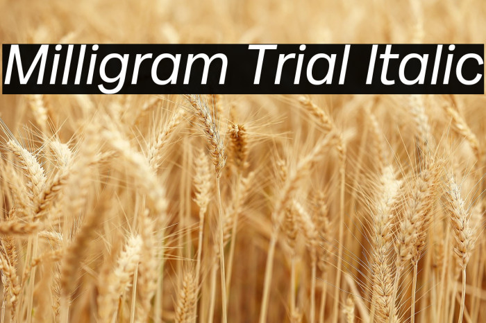 Milligram Trial Italic Example 2