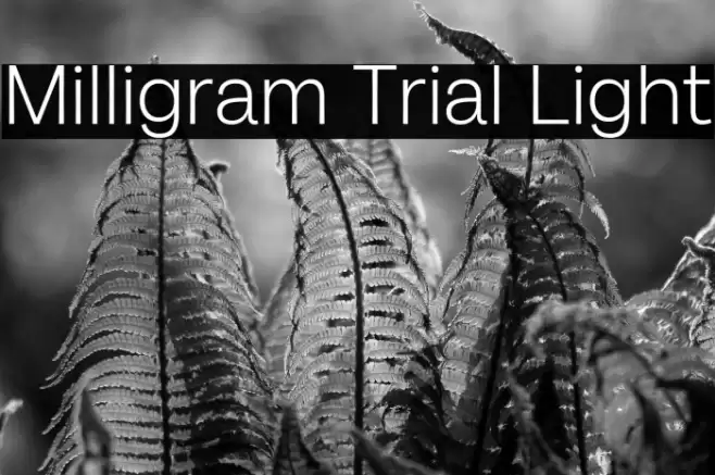 Milligram Trial Light Font examples