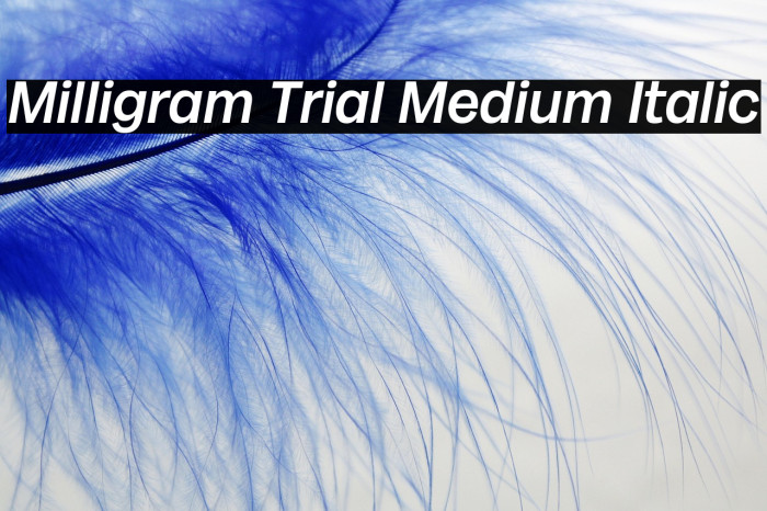 Milligram Trial Medium Italic Example 1
