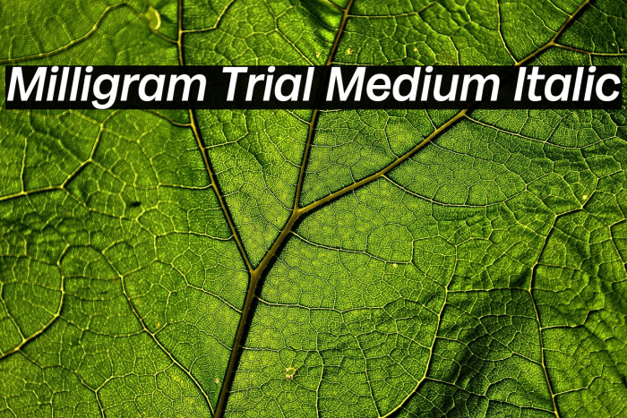 Milligram Trial Medium Italic Example 3