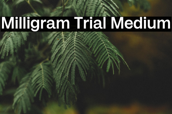 Milligram Trial Medium Example 3