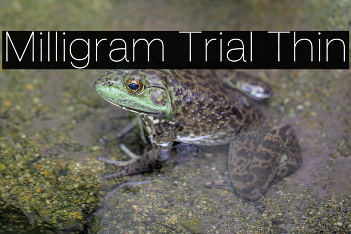 Milligram Trial Thin Example 3