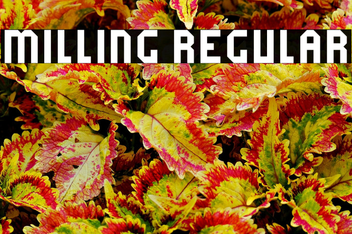 Milling Regular Example 1