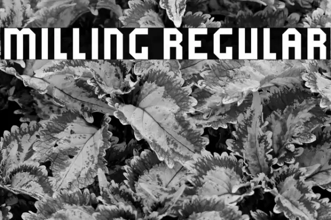 Milling Regular Font examples