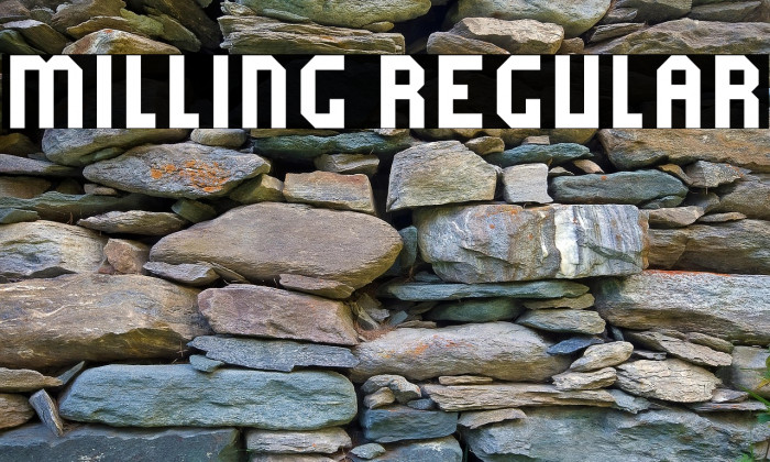 Milling Regular Example 3