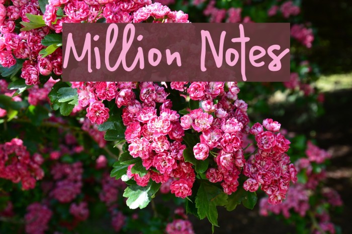Million Notes Font examples