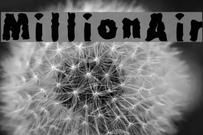 MillionAir Example 1