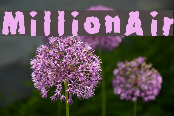 MillionAir Font examples