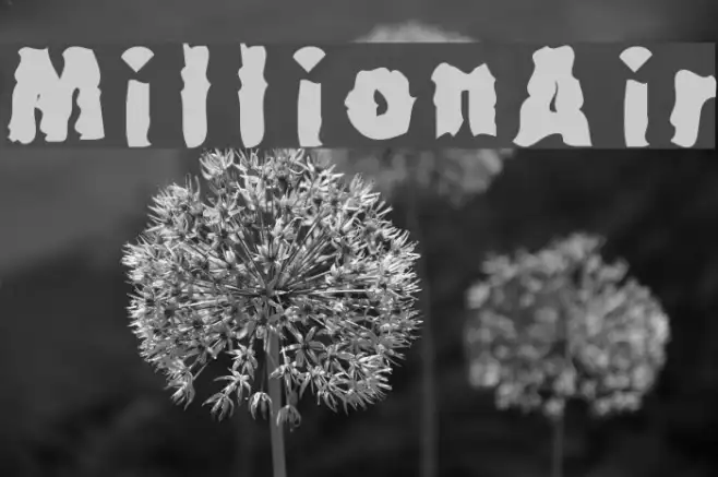 MillionAir Example 3
