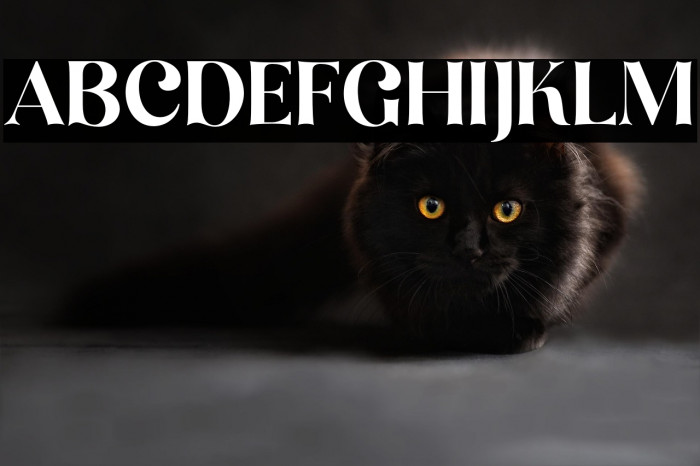 MillionDreams-Regular Example 2