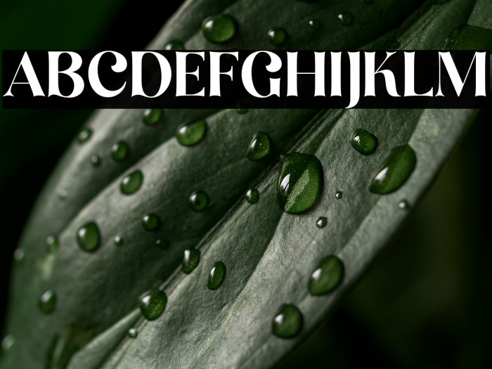 MillionDreams-Regular Example 3