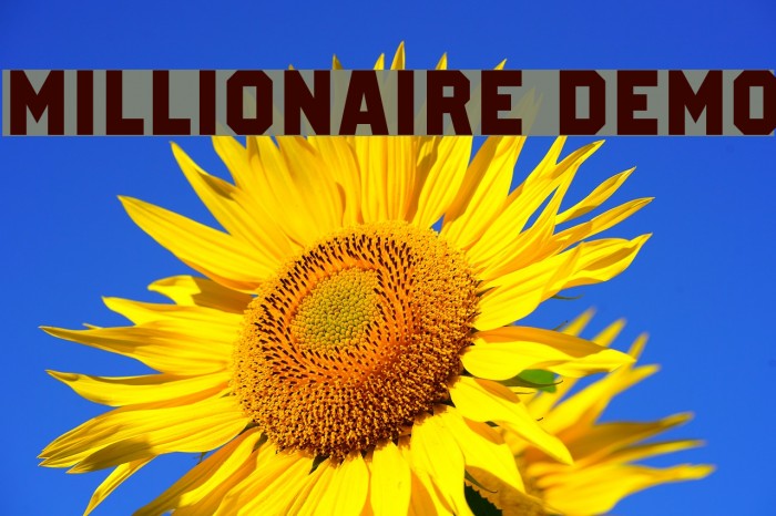 Millionaire DEMO Font examples