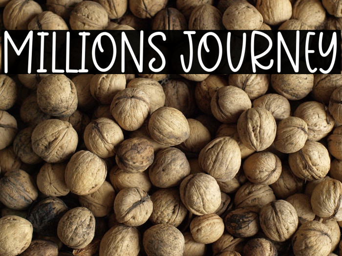 Millions Journey Example 1