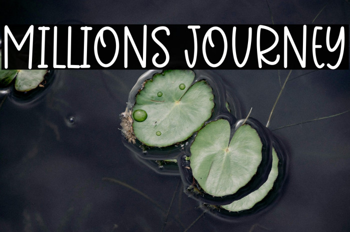 Millions Journey Example 2