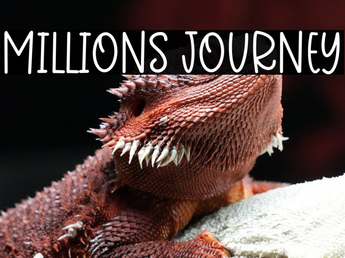 Millions Journey Example 3