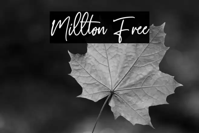 Millton Free Font examples