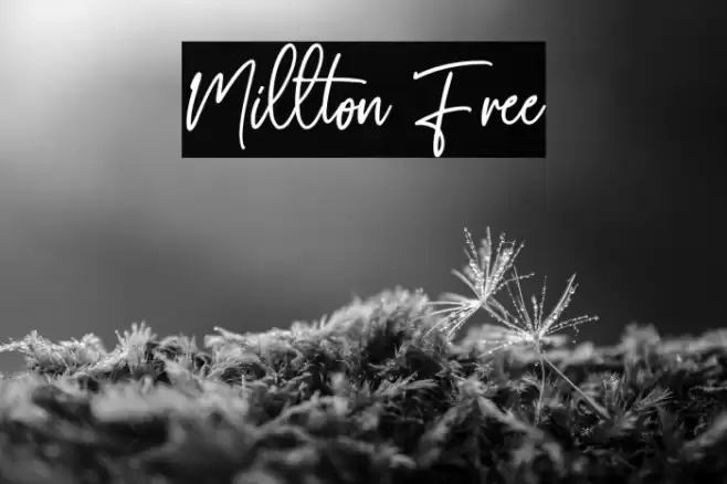 Millton Free Font examples