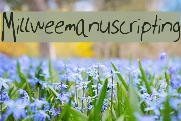 Millweemanuscripting Font examples