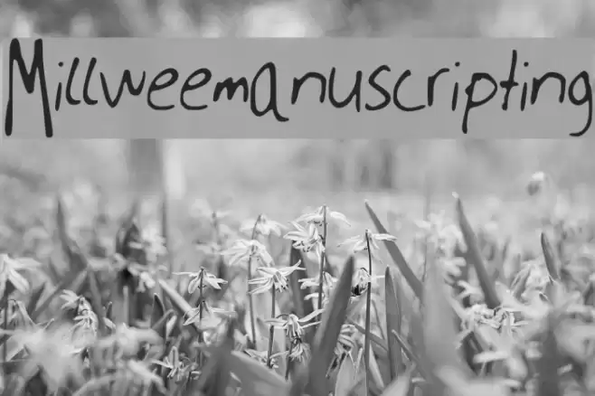Millweemanuscripting フォント examples
