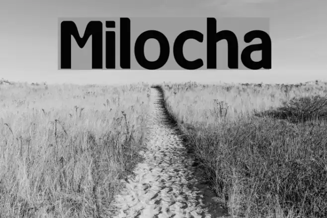 Milocha Font examples