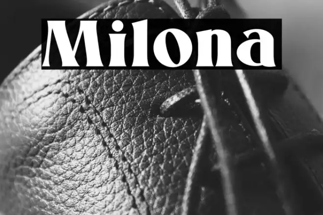 Milona Example 2