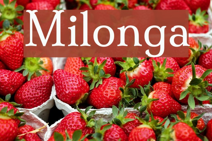Milonga Font examples
