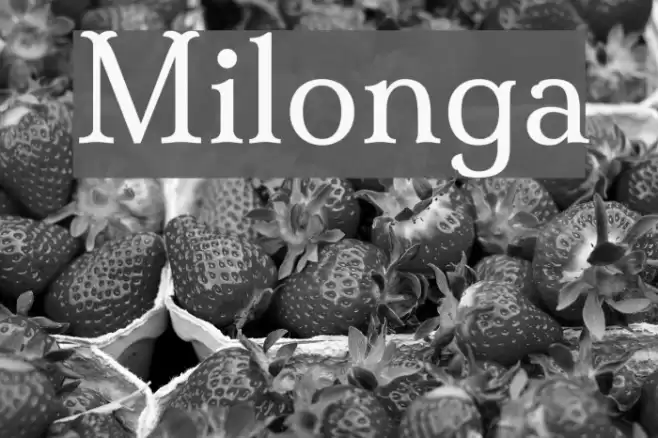 Milonga Font examples