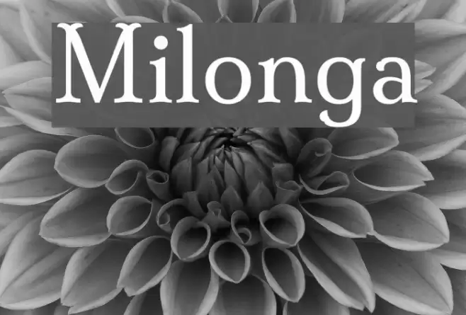 Milonga Font examples