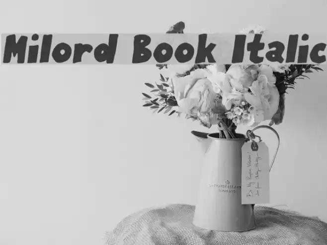 Milord Book Italic Example 2