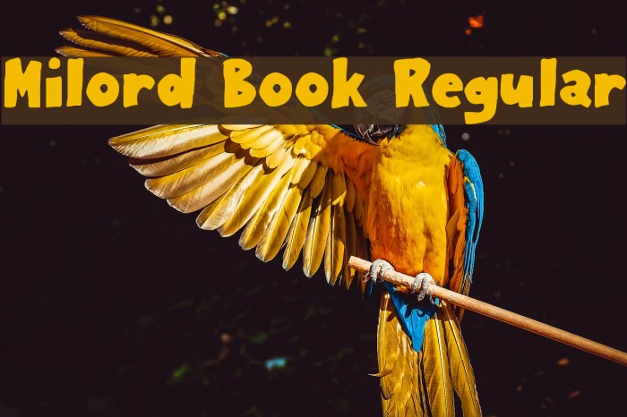 Milord Book Regular Font examples