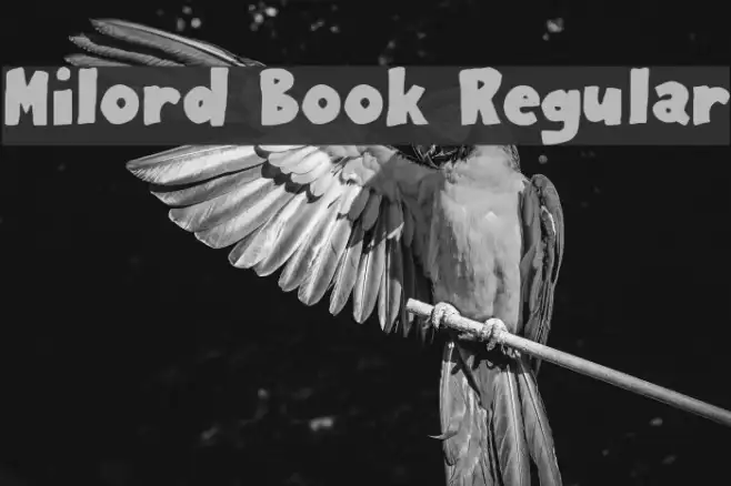Milord Book Regular Example 1