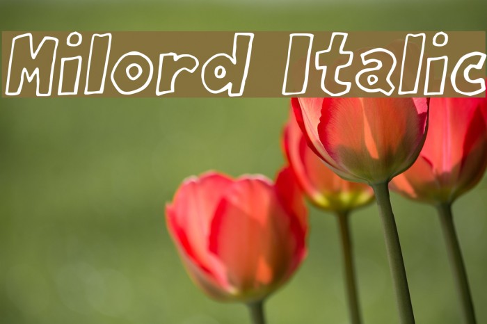Milord Italic Font examples