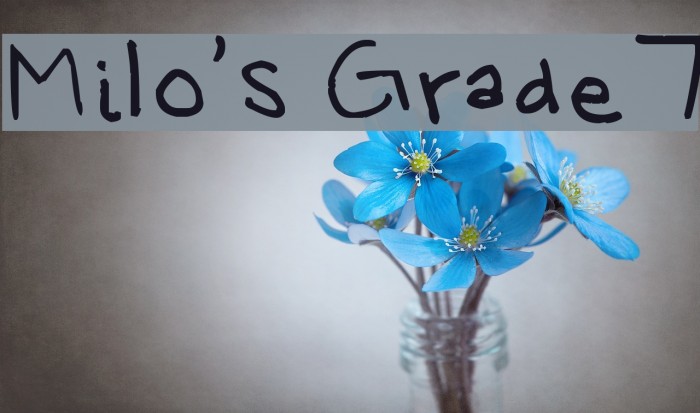 Milo's Grade 7 Font examples